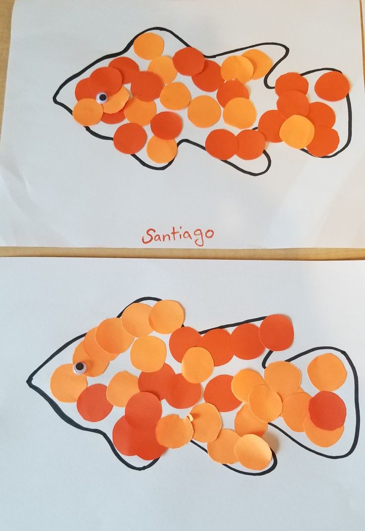 two cards with orange and black circles on them, one has an image of a fish