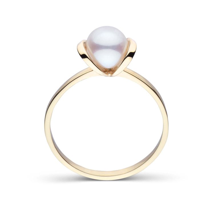 Bonita Collection Akoya Pearl Ring Luxury Elegant Solitaire Pearl Ring, Luxury Romantic Pearl Ring, Luxury Elegant Pearl Ring, Adjustable Gold Pearl Ring, Luxury Elegant Pearl Drop Pearl Ring, Luxury Gold Open Pearl Ring, Luxury Adjustable Elegant Pearl Ring, Luxury Modern Yellow Gold Pearl Ring, Luxury Adjustable Pearl Engagement Ring