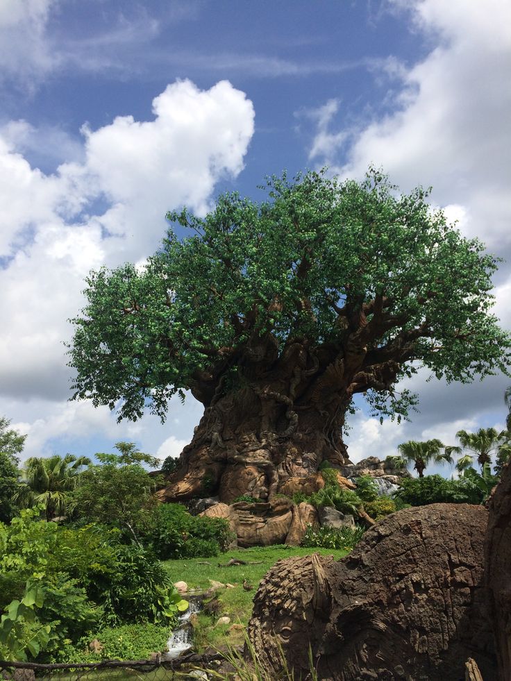 the tree of life at disney's animal kingdom