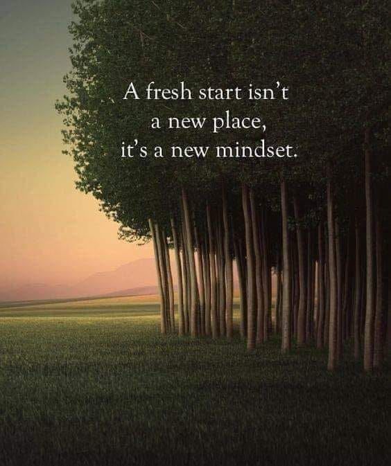 a row of trees with the words fresh start isn't a new place, it's a new mindset