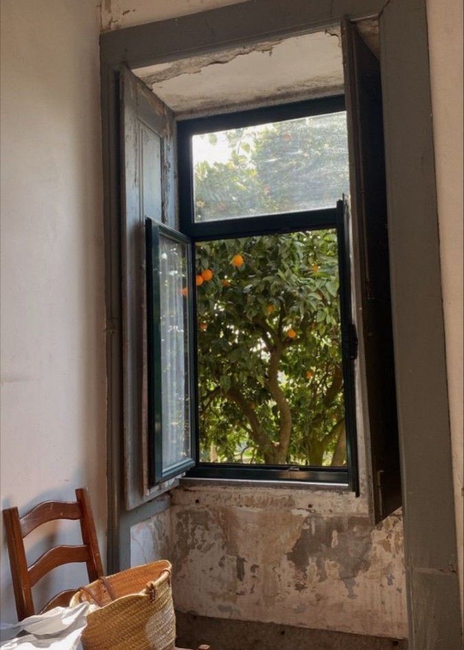 an orange tree is seen through the open window in this old room with no one around