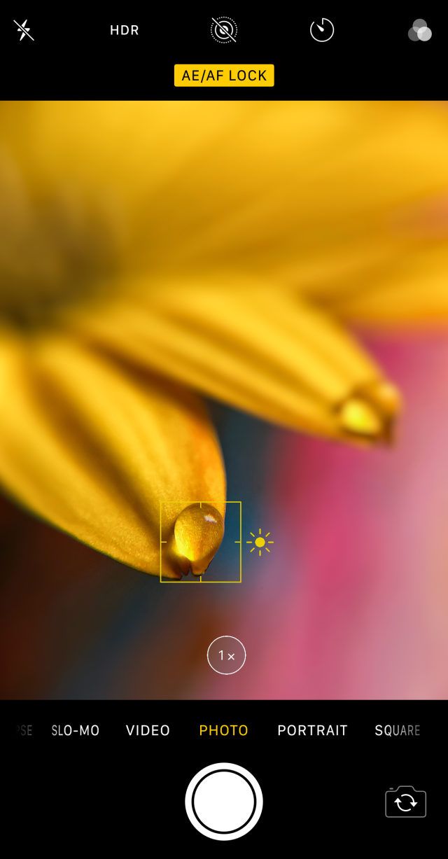 a close up of a yellow flower on a cell phone