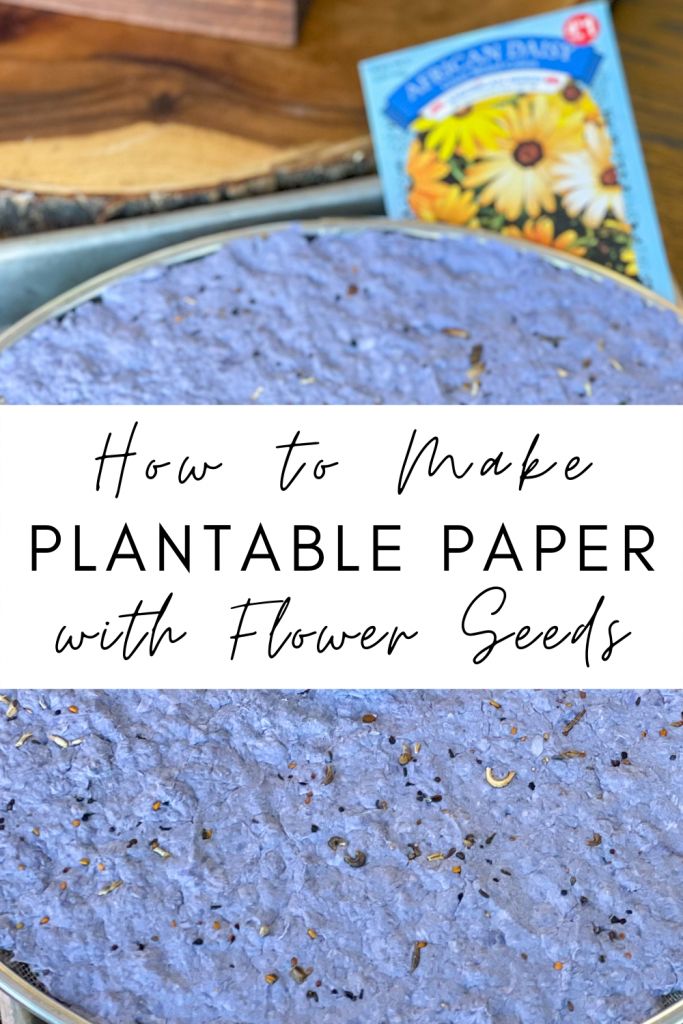 how to make plantable paper with flower seeds in a pan on a wooden table