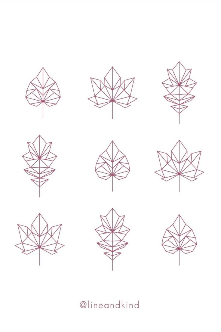 six different types of leaves drawn in red ink on white paper with the words nine kinds of