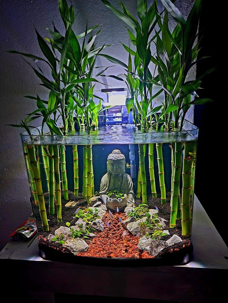 there is a fish tank with plants in it and a buddha statue next to it