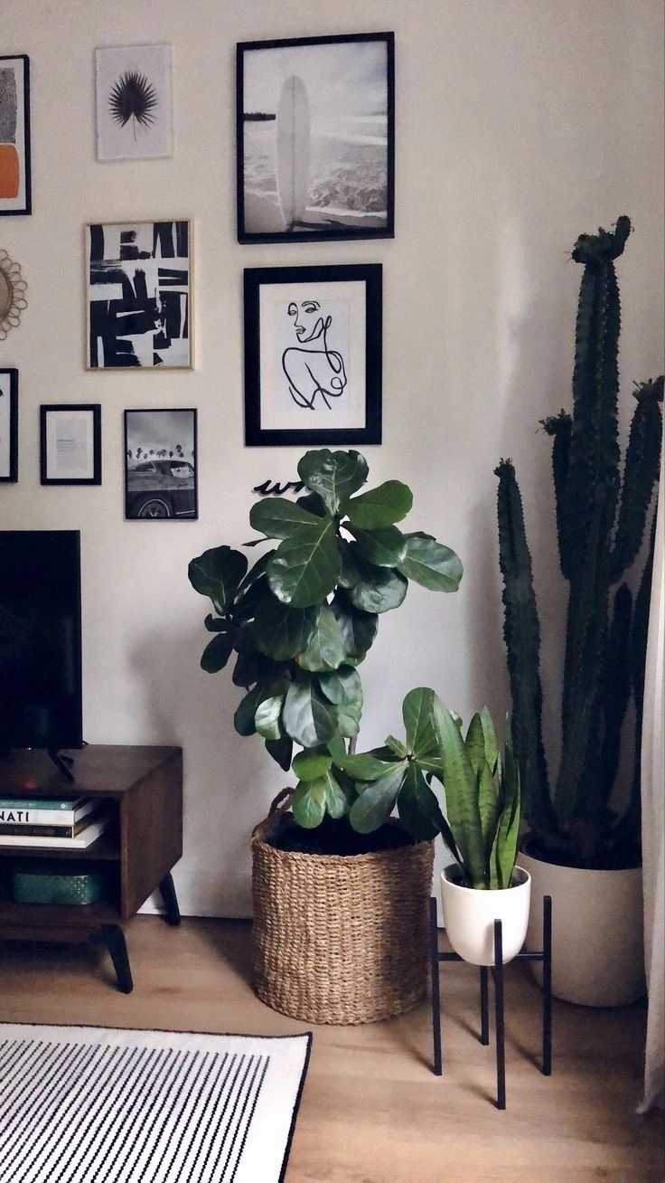 a living room with plants and pictures on the wall