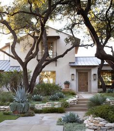 a house that has some trees in front of it and plants on the ground outside