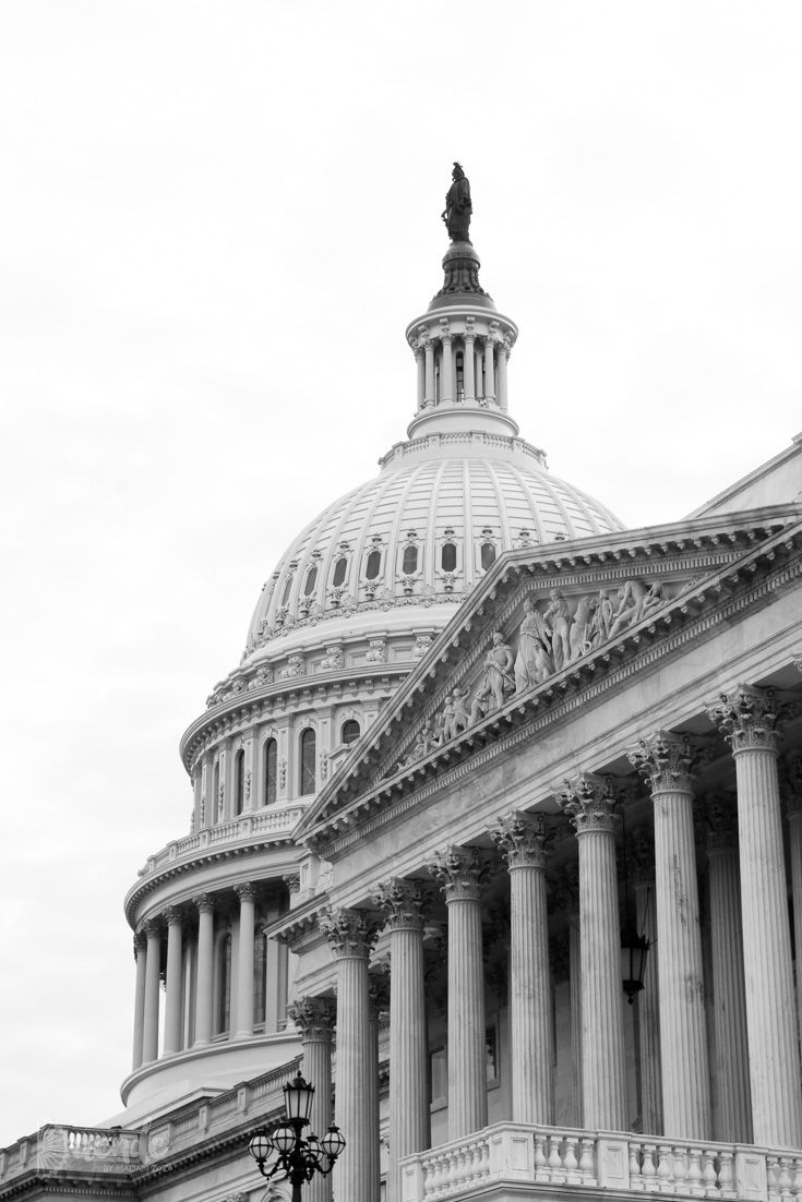 black and white photograph of the u s capitol building