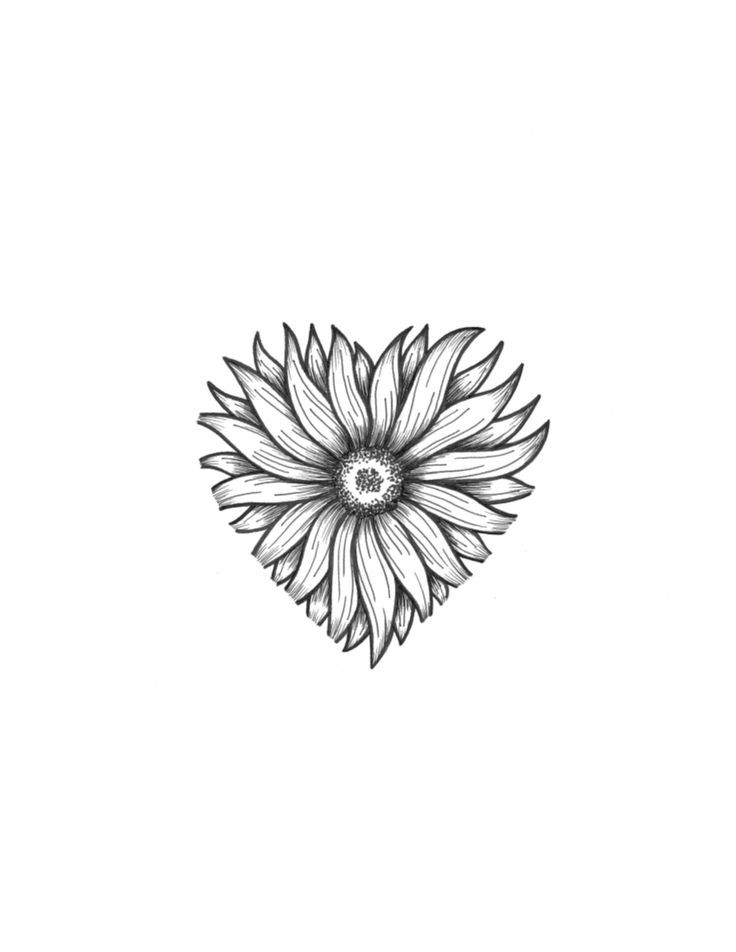 a black and white drawing of a flower with leaves in the shape of a heart