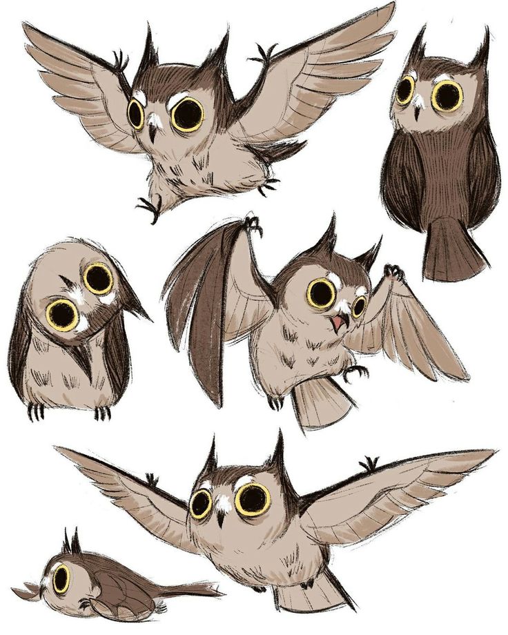 an image of owls flying in the air with their wings spread out and eyes open