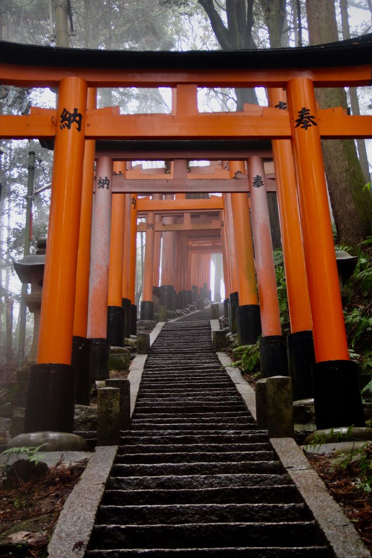 an orange and black structure with steps leading up to it in the middle of a forest