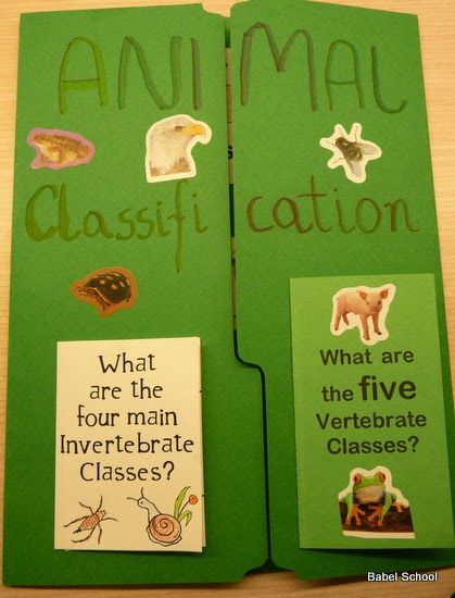 an animal class book is open to show what the four main vertebrate classes are