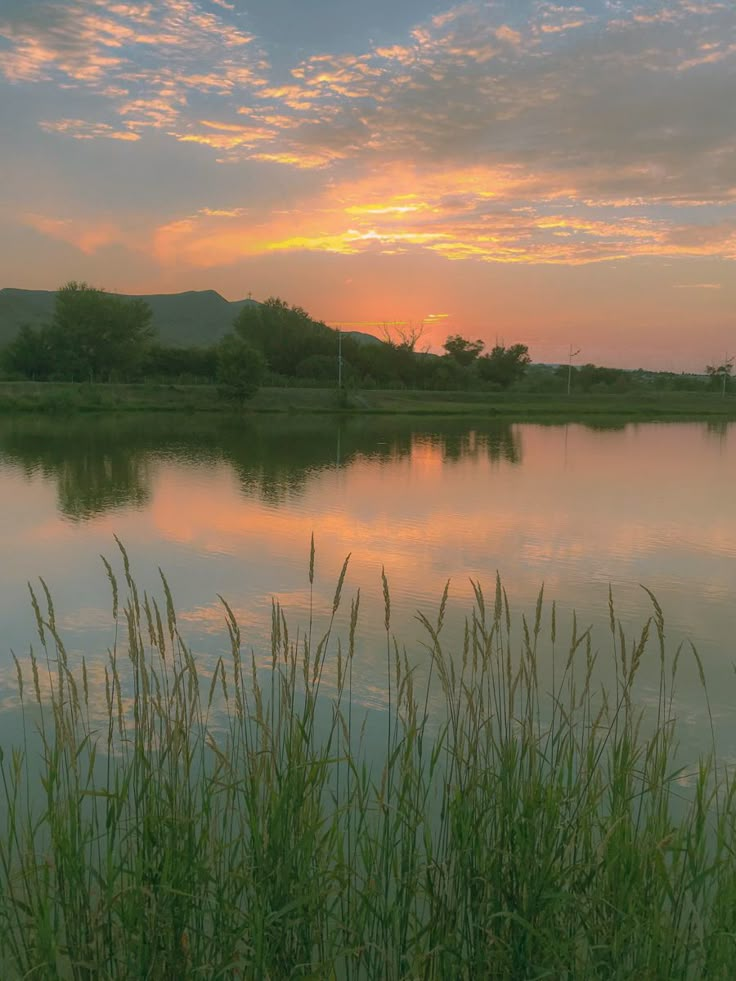 the sun is setting over a lake with tall grass