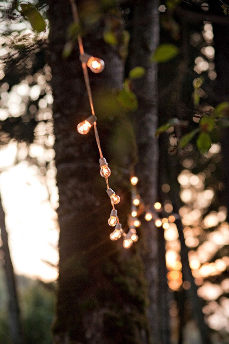 a string of lights hanging from a tree with a quote about all i want from you is what you are