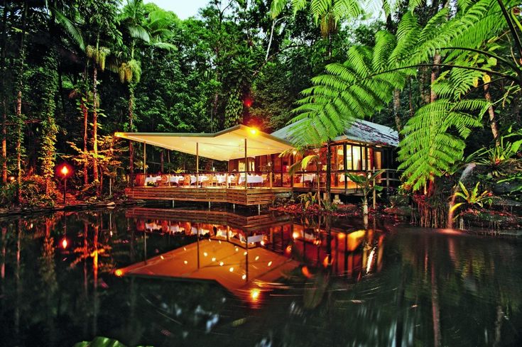 a restaurant in the middle of a tropical forest with lights on it's roof