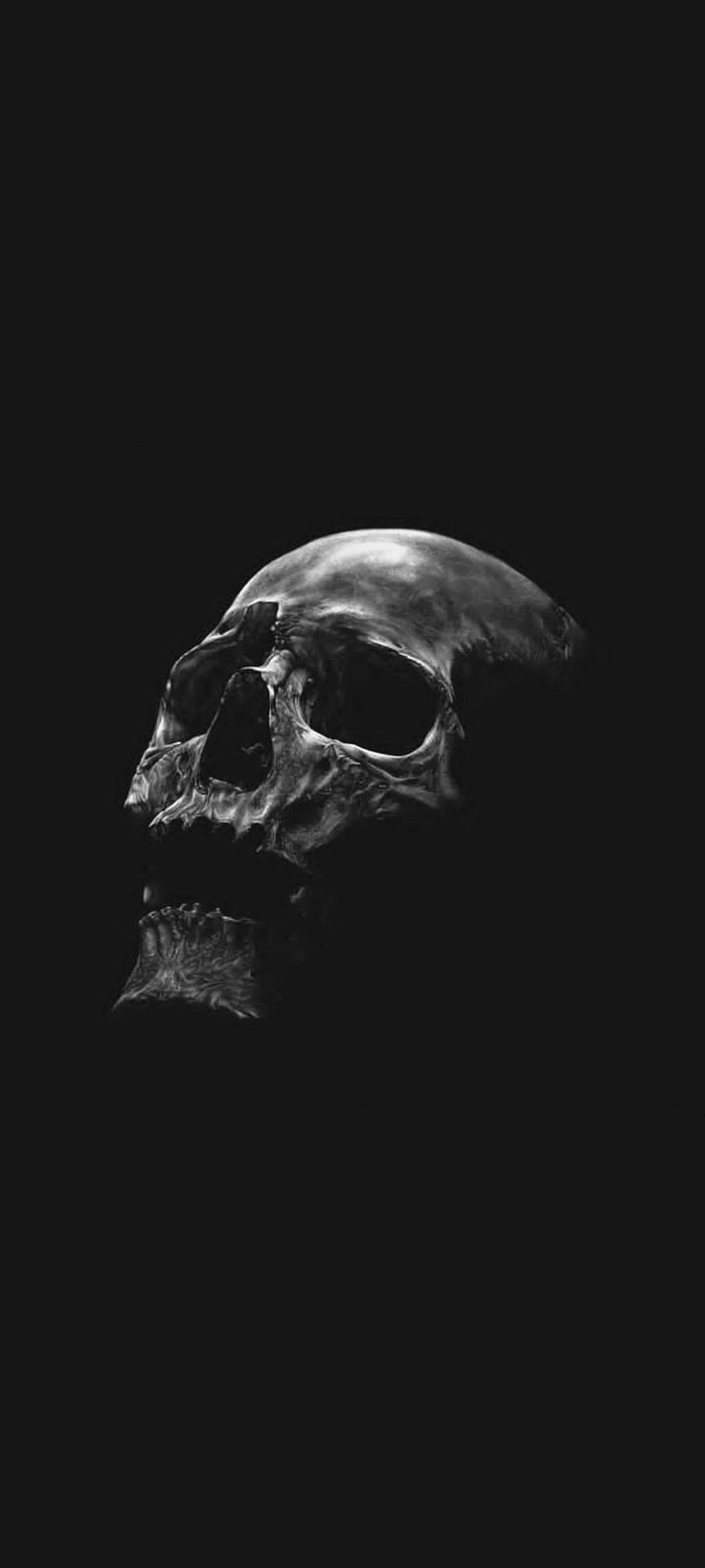 Skull Dark Wallpaper, Skull Wallpaper Black, Black And Gold Skull Wallpaper, Aesthetic Skull Wallpaper, Bones Wallpaper Skull Art, Iphone Wallpaper Skull, Skull Black Background, Skull Dark Aesthetic, Skeleton Asthetic Picture