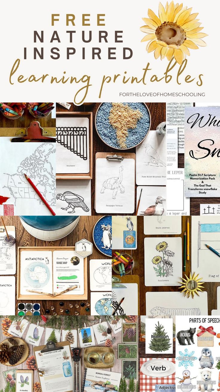 a collage of pictures with the words free nature inspired learning printables