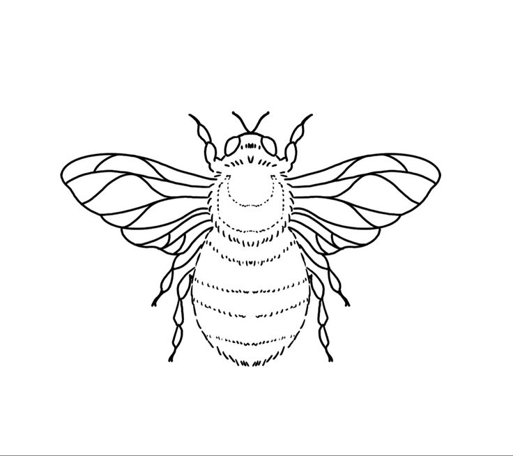 a black and white drawing of a bee