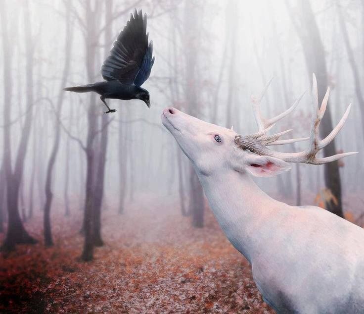 a bird flying over a white deer in the woods with antlers on it's head