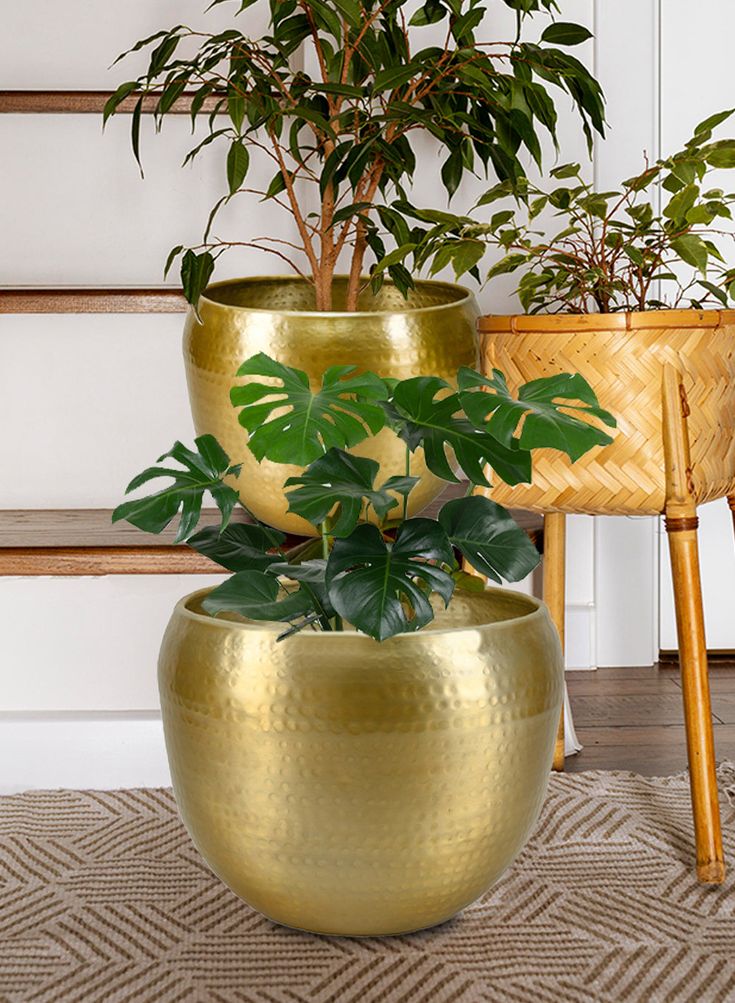 two large gold planters sitting next to each other on top of a carpeted floor