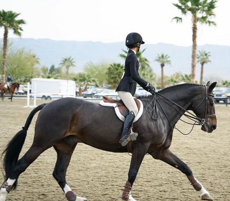 a woman riding on the back of a brown horse across a dirt field with palm trees in the background