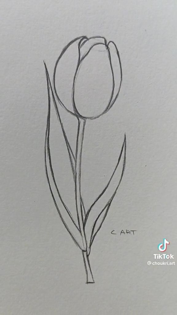 a pencil drawing of a single tulip on white paper with the word art written below it