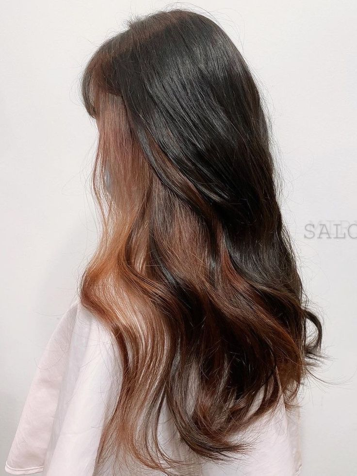 45+ Korean Secret Two-Tone Hair Color Ideas You Should Try in 2021 | Kbeauty Addiction Two Tone Hairstyle, Brown Hair Underneath, Undercolor Hair, Under Hair Dye, Underdye Hair, Under Hair Color, Hidden Hair Color, Peekaboo Hair Colors, Two Tone Hair