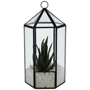 an indoor plant in a glass container filled with white rocks and pebbles on a white background