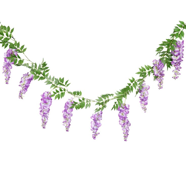 purple flowers and green leaves are hanging from a vine