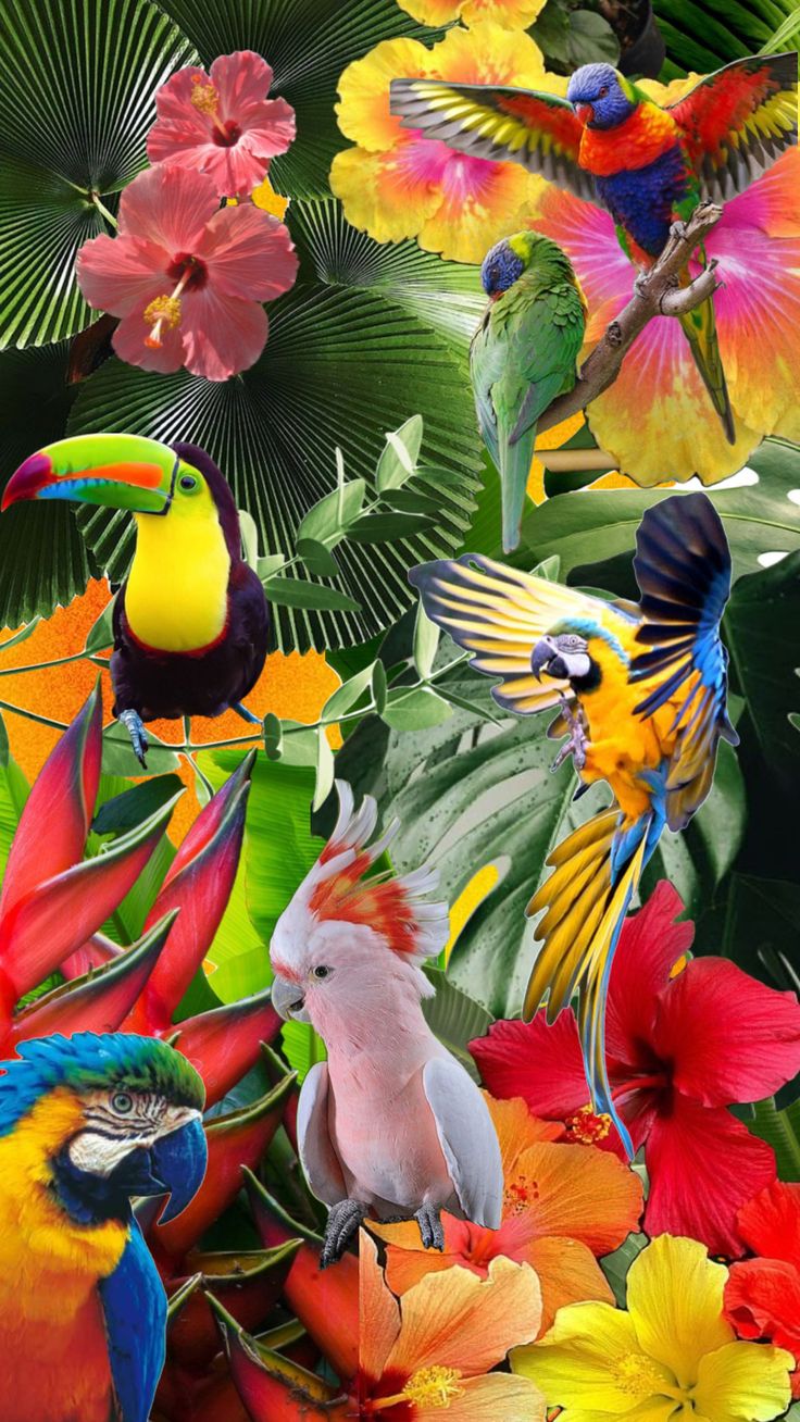 many colorful birds and flowers in the jungle