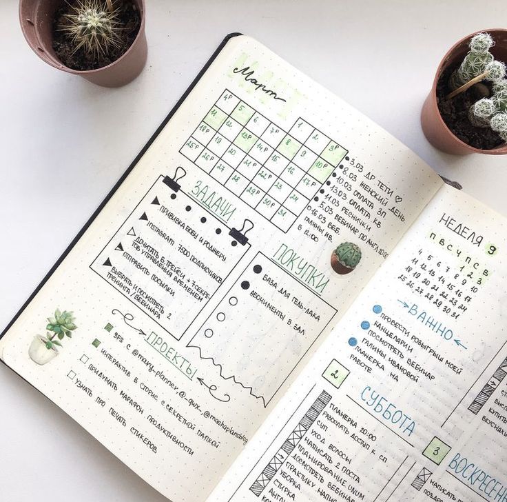 an open planner with cactuses and succulents