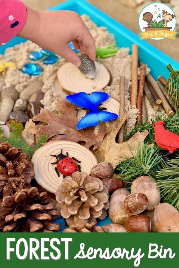 a child's hand is picking up some pine cones from a tray filled with leaves