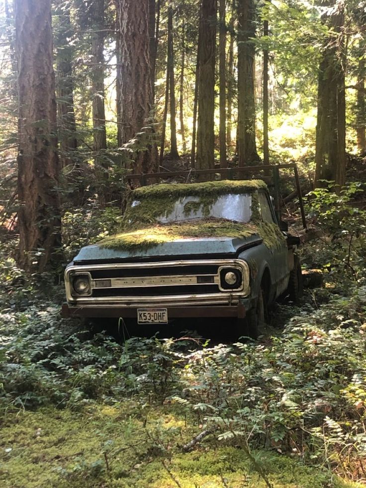 Forest Cryptid car Stanley Core Aesthetic, Cryptid Core Aesthetic Wallpaper, Cryptic Hunter Aesthetic, Jason Core Aesthetic, Small Town Cryptid Aesthetic, Creepy Farm Aesthetic, Cryptid Hunting Aesthetic, Cryptid Aesthetic Wallpaper, Forest Cryptid Aesthetic