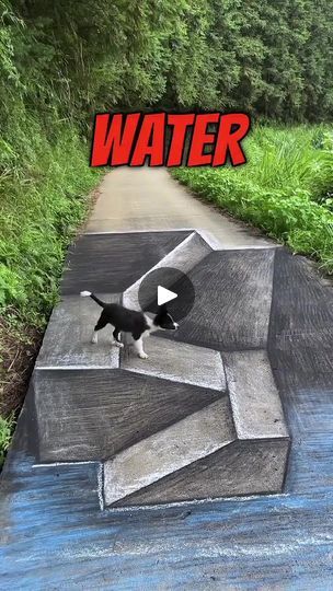 a dog is standing on the edge of a concrete ramp that has water painted on it