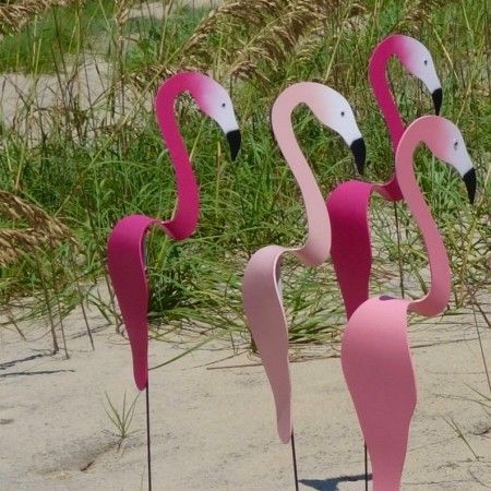 four pink flamingos are standing in the sand