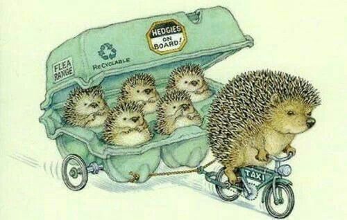 there are many hedgehogs riding in a wagon with the words, letve com voce, somente o que verdade, valde, vale la pena