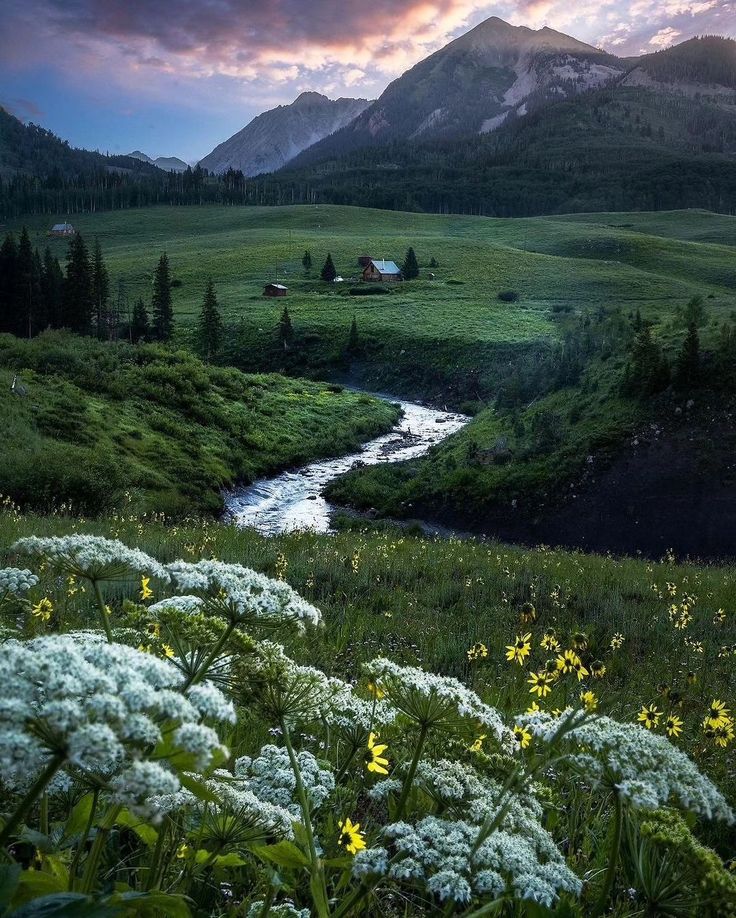 the sun is setting over a mountain valley with flowers in front of it and a small cabin on the other side