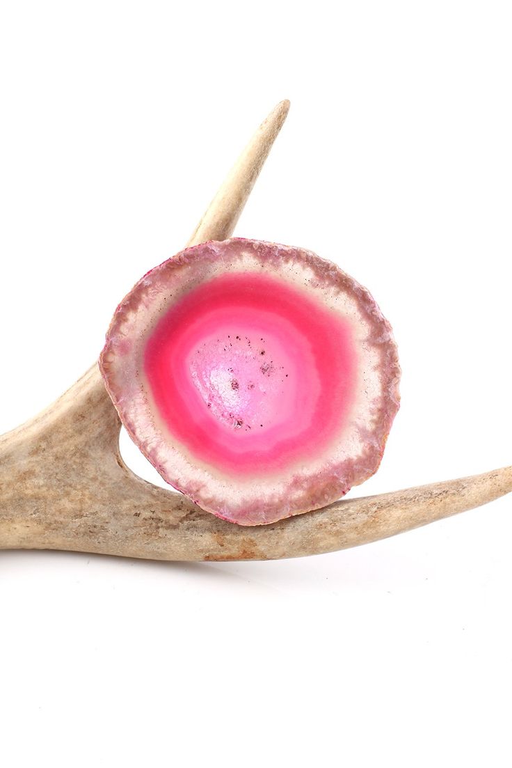 an antler's egg shell with pink and white speckles