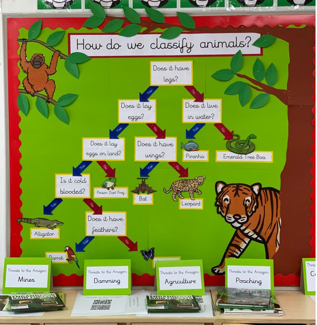 a classroom bulletin board with pictures of animals and plants on it, labeled how do we classy animals?