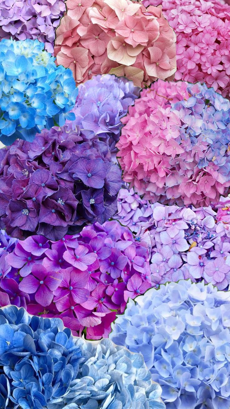 many different colored flowers are arranged together