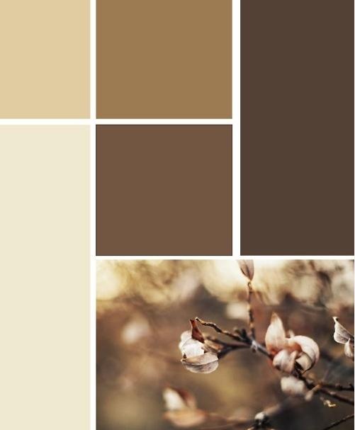 the color scheme for brown and tan is shown in four different shades, including one with white flowers