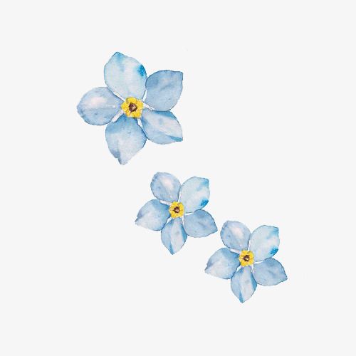 three blue flowers on a white background