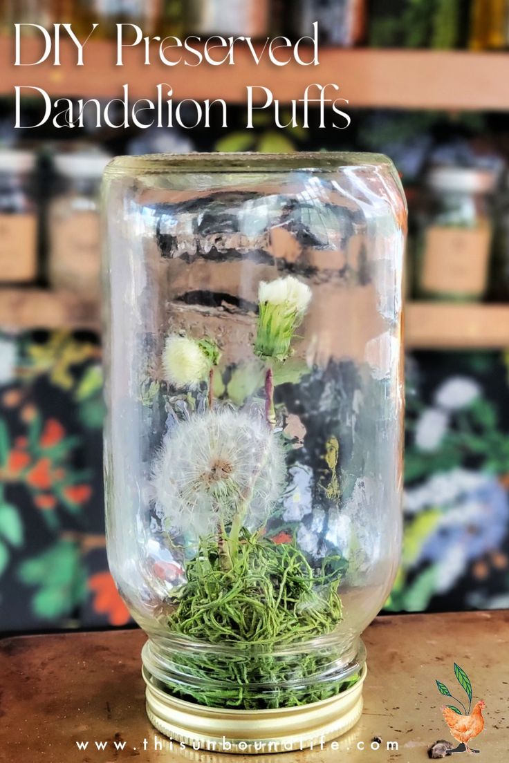 a glass jar filled with dandelion puffs sitting on top of a wooden table