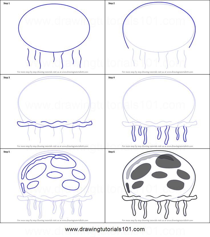 how to draw a jellyfish step by step with pictures for kids and beginners