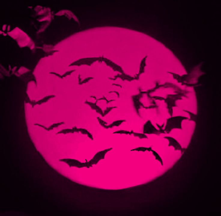 bats flying in front of a pink full moon with black silhouettes on the dark background