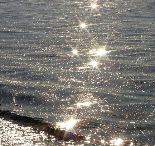 the sun shines brightly in the water