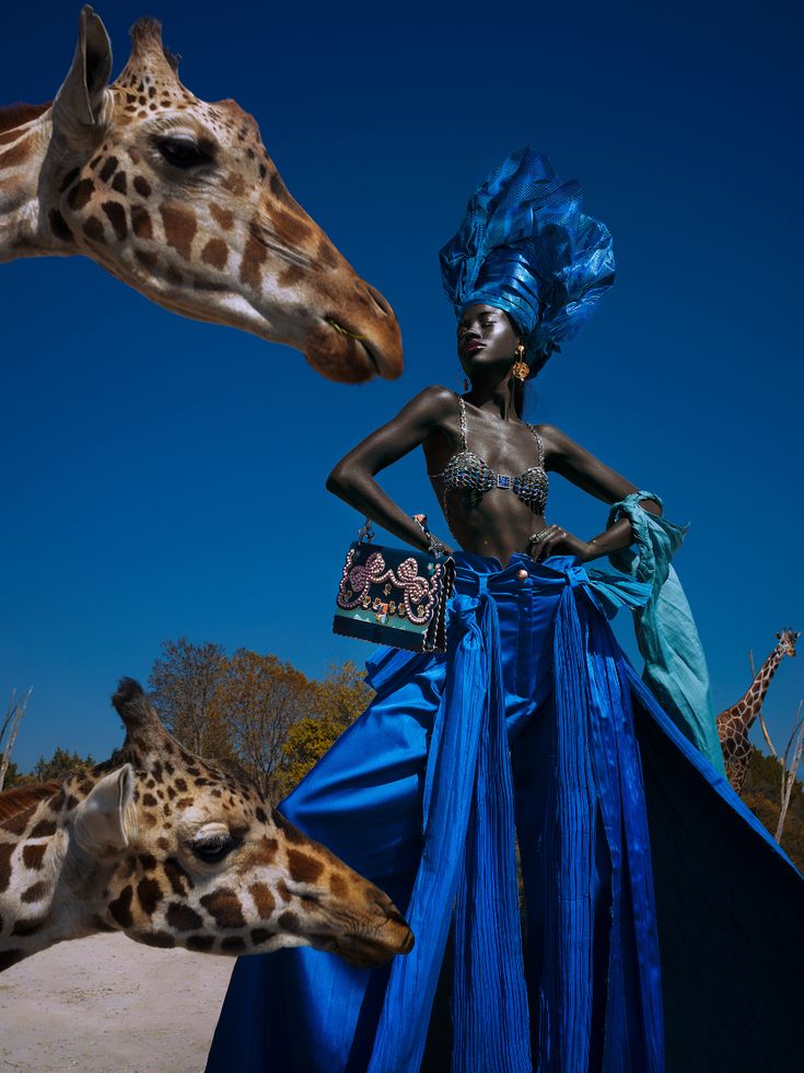 two giraffe standing next to each other near a woman in a blue dress