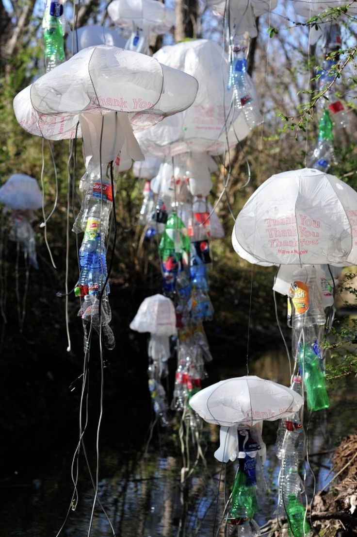 many plastic bottles are floating in the water