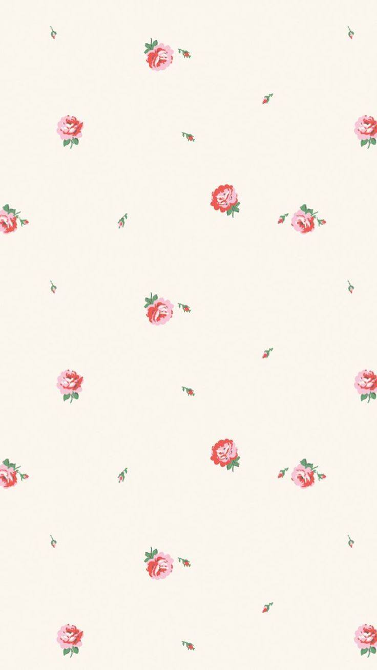 a white background with pink roses on it