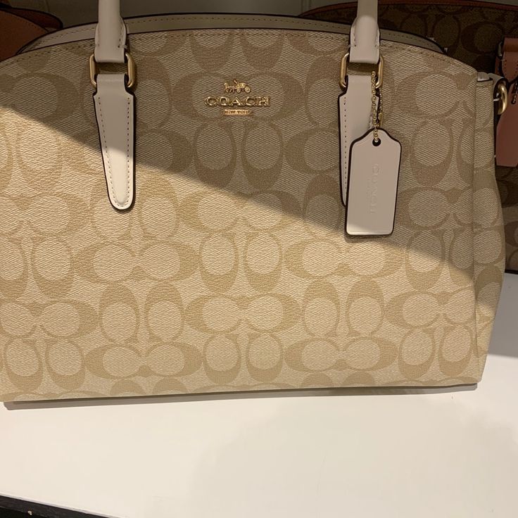 Brand New Woman’s Handbag Bags Coach, Hand Bag, Michael Kors Monogram, New Woman, Coach Bags, Louis Vuitton Damier, Shoulder Bags, Bag Lady, Louis Vuitton